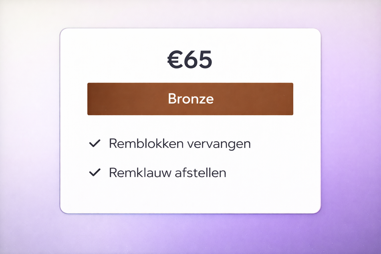 Onderhoud Diensten voor uw Fatbike Bronze